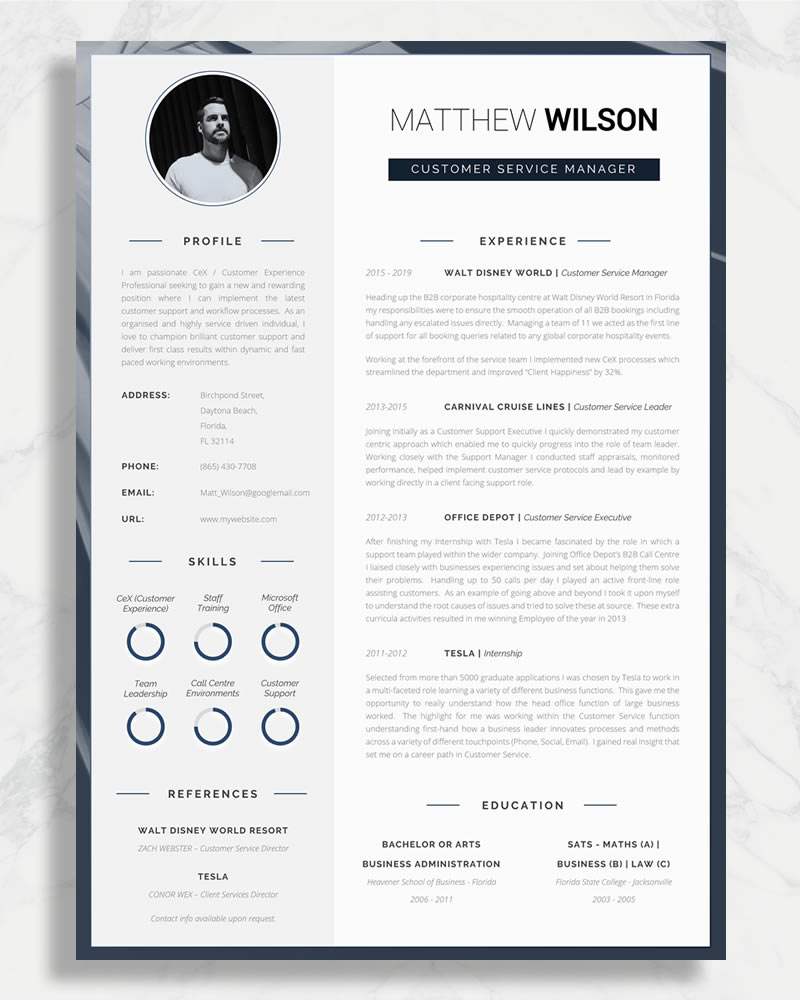 Blue CV Example, Professional CV Example